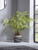 NEW Faux Potted Fern Tree