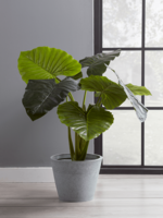 NEW Faux Potted Taro