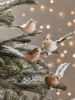NEW Four Feathered Bird Clips