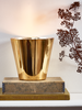 NEW Golden Candle