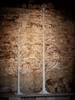 NEW Indoor Outdoor Slim White Light Up Tree - 1.25m