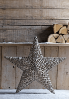NEW Large Willow Star
