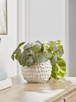 NEW Layered Cement Planter