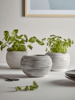 NEW Three Textured Herb Planters
