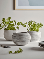 NEW Three Textured Herb Planters