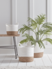NEW Three White & Natural Seagrass Baskets
