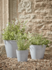 NEW Three Zinc Tapered Planters