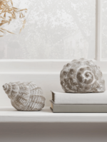 NEW Two Grey Washed Shells