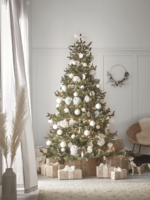 NEW Young Pine Christmas Tree