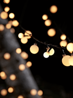 Outdoor Cherry String Lights
