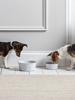 Paw Print Pet Bowl - Large
