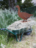 Rusty Red Goose