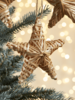 Six Rattan Stars