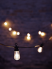 Teardrop Festoon Lights - Extension Set