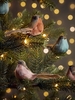 Three Feathered Bird Clips