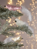 Three Glass Birds - Blush