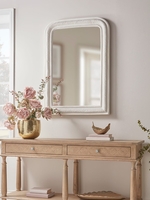 Twisted Framed Wall Mirror