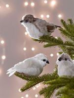 Two Plush Birds