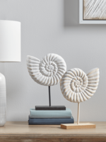 Two Whitewashed Standing Ammonites