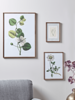 Walnut Picture Frame - Small