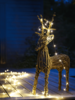 Whimsical Willow Deer