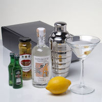 The Magnificent Martini Cocktail Kit
