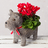 Cyclamen Dog Planter