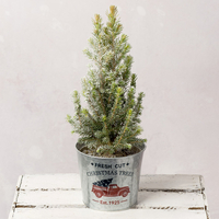 Frosted Mini Christmas Tree