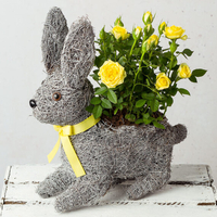Rabbit Planter
