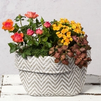 Sunset Planter