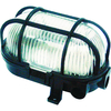 Byron BE60Z Wall Mounted Plastic Light in Black