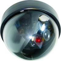 Byron Dome Dummy Camera