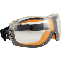 DeWalt Concealer Safety Goggle