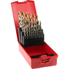 Dormer A095 No 204 25 Piece HSS Tin Jobber Drill Set