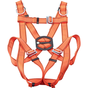 Draper Expert Safety Harness