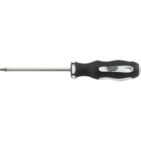 Draper Expert Soft Grip Security Torx Screwdriver T15 100mm