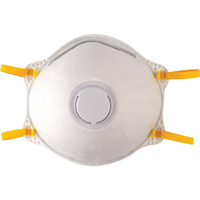 Draper FM25/10 Disposable Dust Mask FFP2 Pack of 10