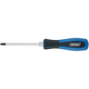 Draper Pound Thru Phillips Screwdriver PH2 100mm