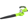 Greenworks G24BL 24v Cordless Garden Leaf Blower 1 x 2ah Li-ion