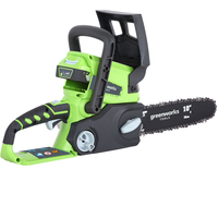 Greenworks G24CS 24v Cordless Chainsaw 250mm 1 x 2ah Li-ion Charger