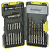 Ryobi 22 Piece Hex Shank Drill & Screwdriver Bit Set in Stackable Case