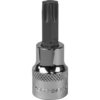 Sealey 3/8" Drive Torx Socket Bit 3/8" T50
