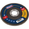Sealey Aluminium Abrasive Flap Disc 100mm 80g