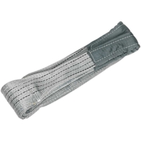 Sealey Duplex Lifting Strap Reinforced Sling 2m 4000kg