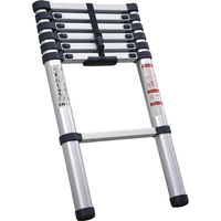 Sealey Extending Telescopic Ladder 2m