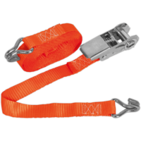 Sealey Ratchet Tie Down Strap 25mm 4.5m 800kg