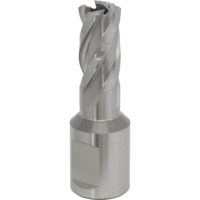 Sealey Rotabor Weldon Shank HSS Mag Drill Cutter 14mm 25mm
