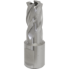 Sealey Rotabor Weldon Shank HSS Mag Drill Cutter 15mm 25mm