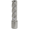 Sealey Rotabor Weldon Shank HSS Mag Drill Cutter 16mm 50mm