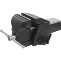 Sealey SG Iron Professional Mechanics Vice 225mm